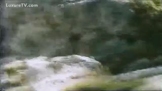 Давалка худро дар куча бо саг алокаи чинси ба навор гирифт